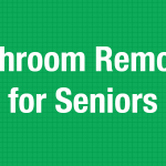 Blog-44-Bathroom-Remodel-for-Seniors